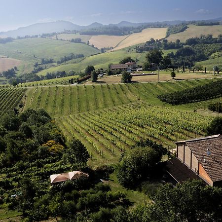 La Ca Dal Non Bioagriturismo - Alpenice Savignano sul Panaro 外观 照片