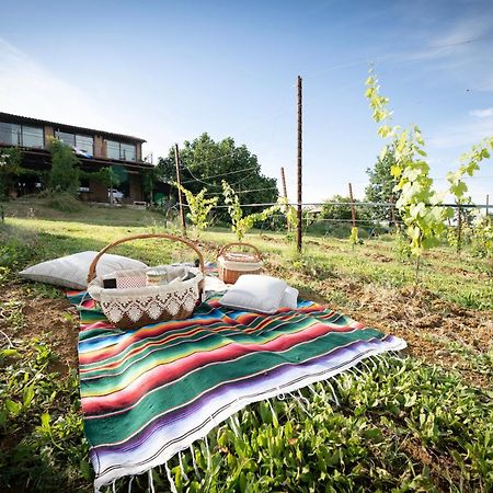 La Ca Dal Non Bioagriturismo - Alpenice Savignano sul Panaro 外观 照片