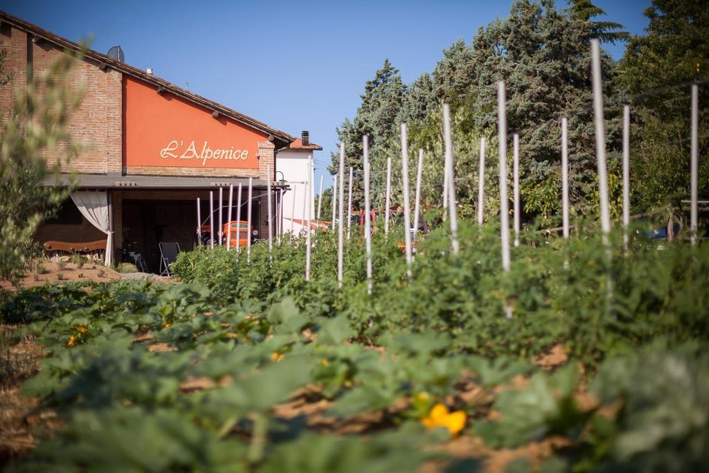 La Ca Dal Non Bioagriturismo - Alpenice Savignano sul Panaro 外观 照片