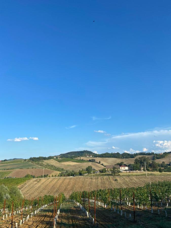 La Ca Dal Non Bioagriturismo - Alpenice Savignano sul Panaro 外观 照片