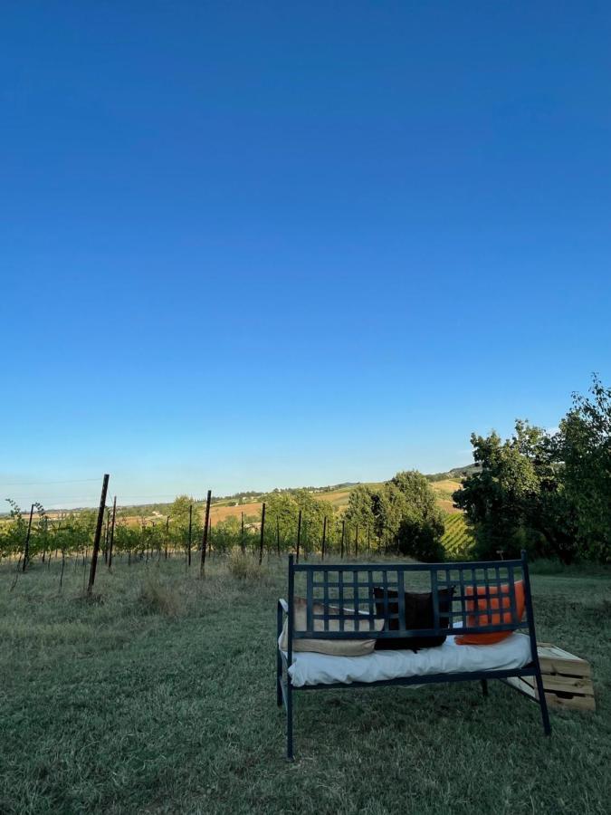 La Ca Dal Non Bioagriturismo - Alpenice Savignano sul Panaro 外观 照片