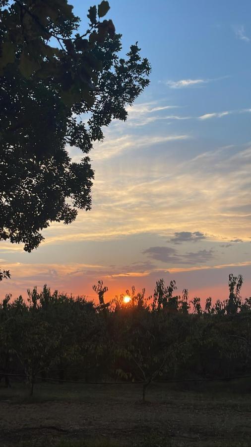 La Ca Dal Non Bioagriturismo - Alpenice Savignano sul Panaro 外观 照片