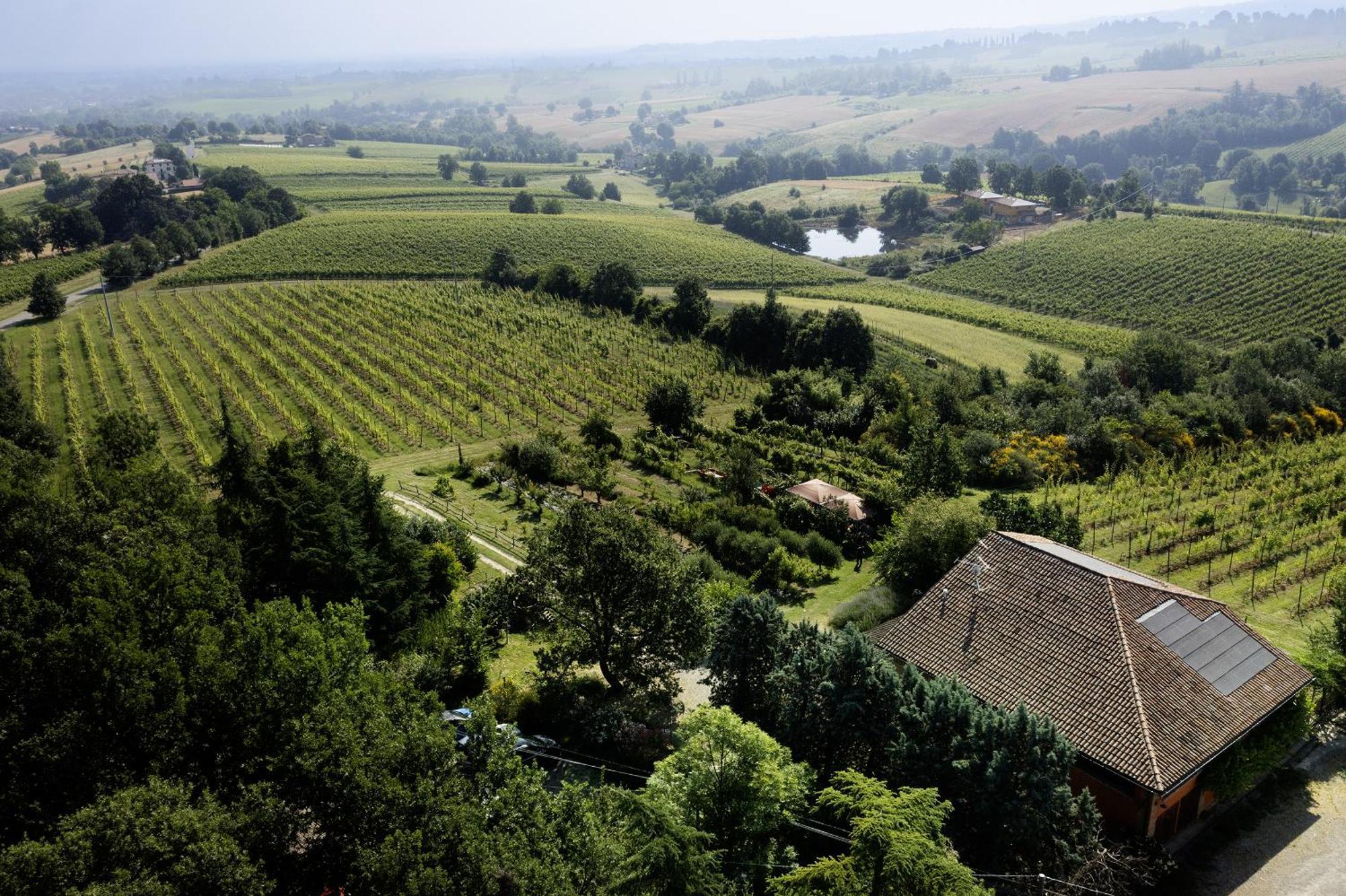 La Ca Dal Non Bioagriturismo - Alpenice Savignano sul Panaro 外观 照片