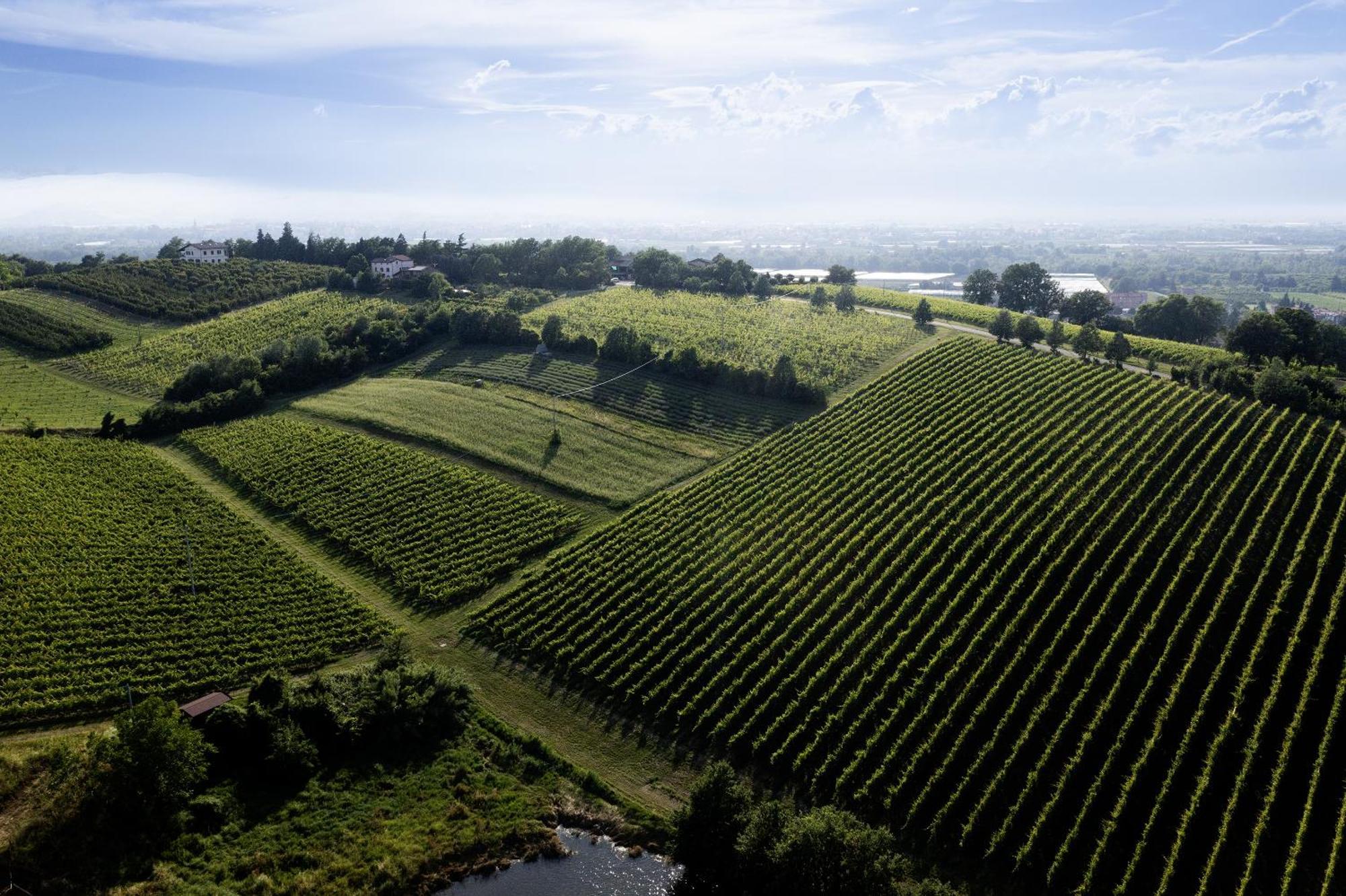 La Ca Dal Non Bioagriturismo - Alpenice Savignano sul Panaro 外观 照片