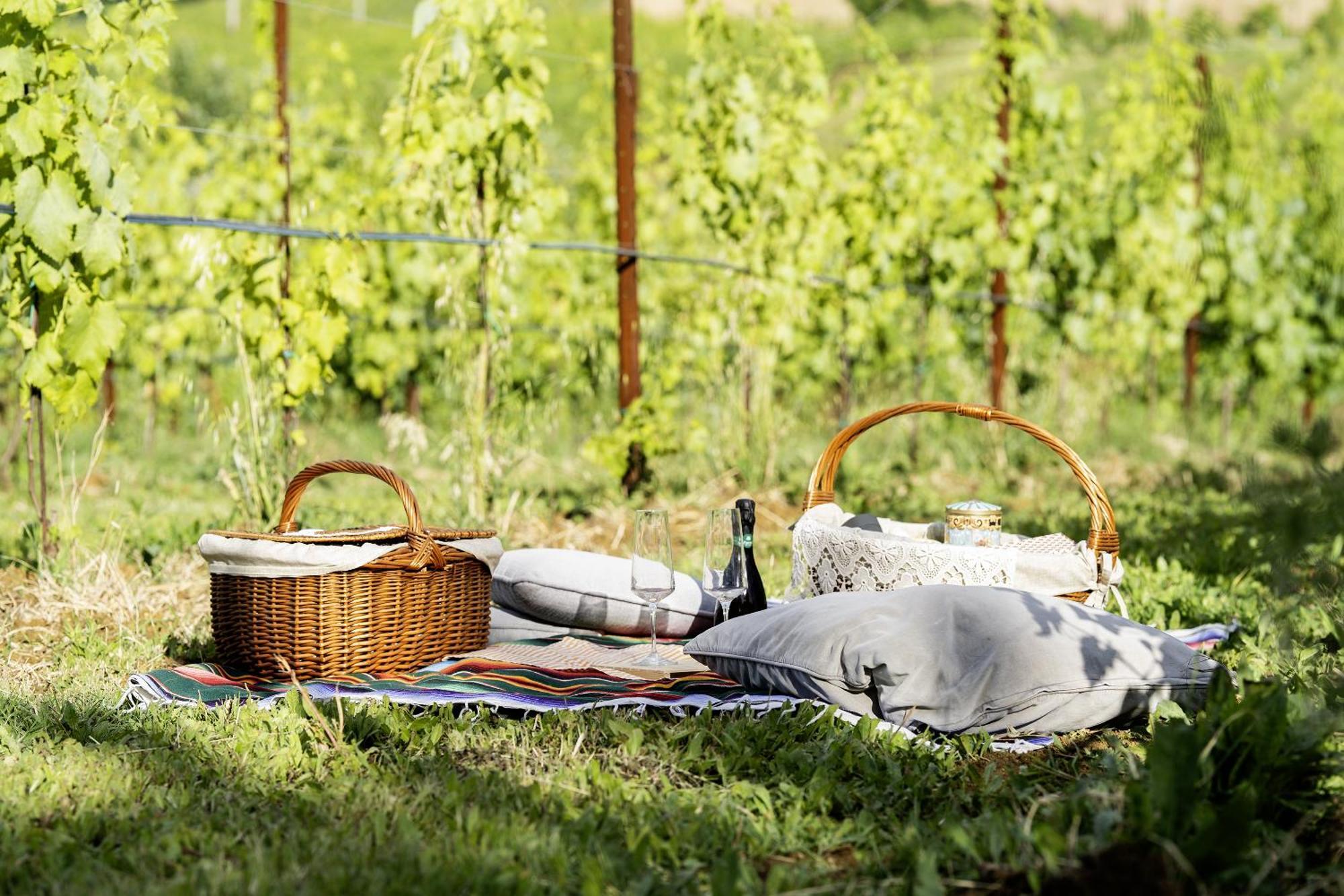 La Ca Dal Non Bioagriturismo - Alpenice Savignano sul Panaro 外观 照片
