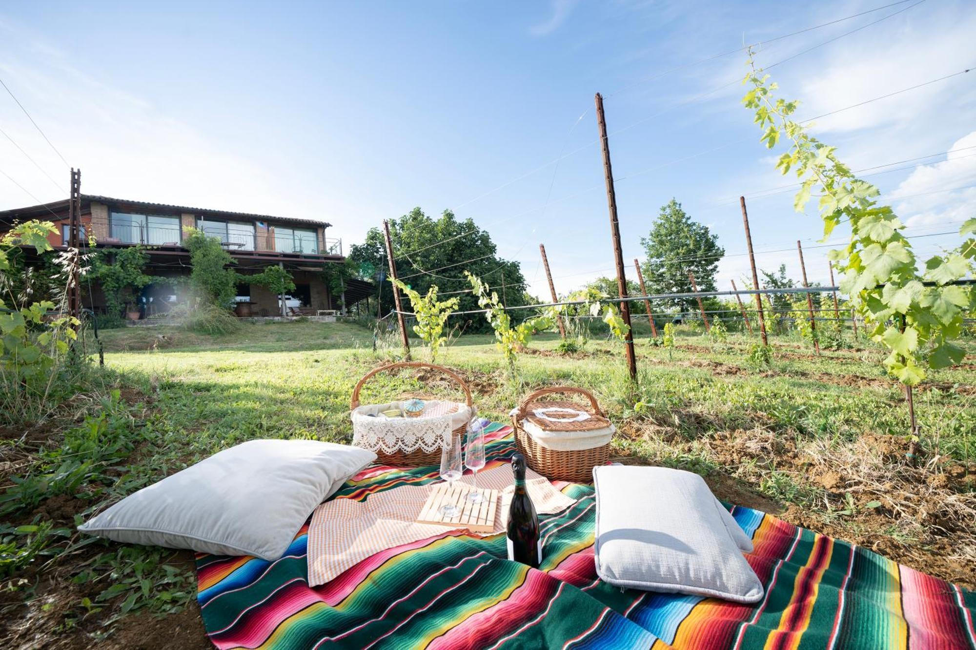 La Ca Dal Non Bioagriturismo - Alpenice Savignano sul Panaro 外观 照片