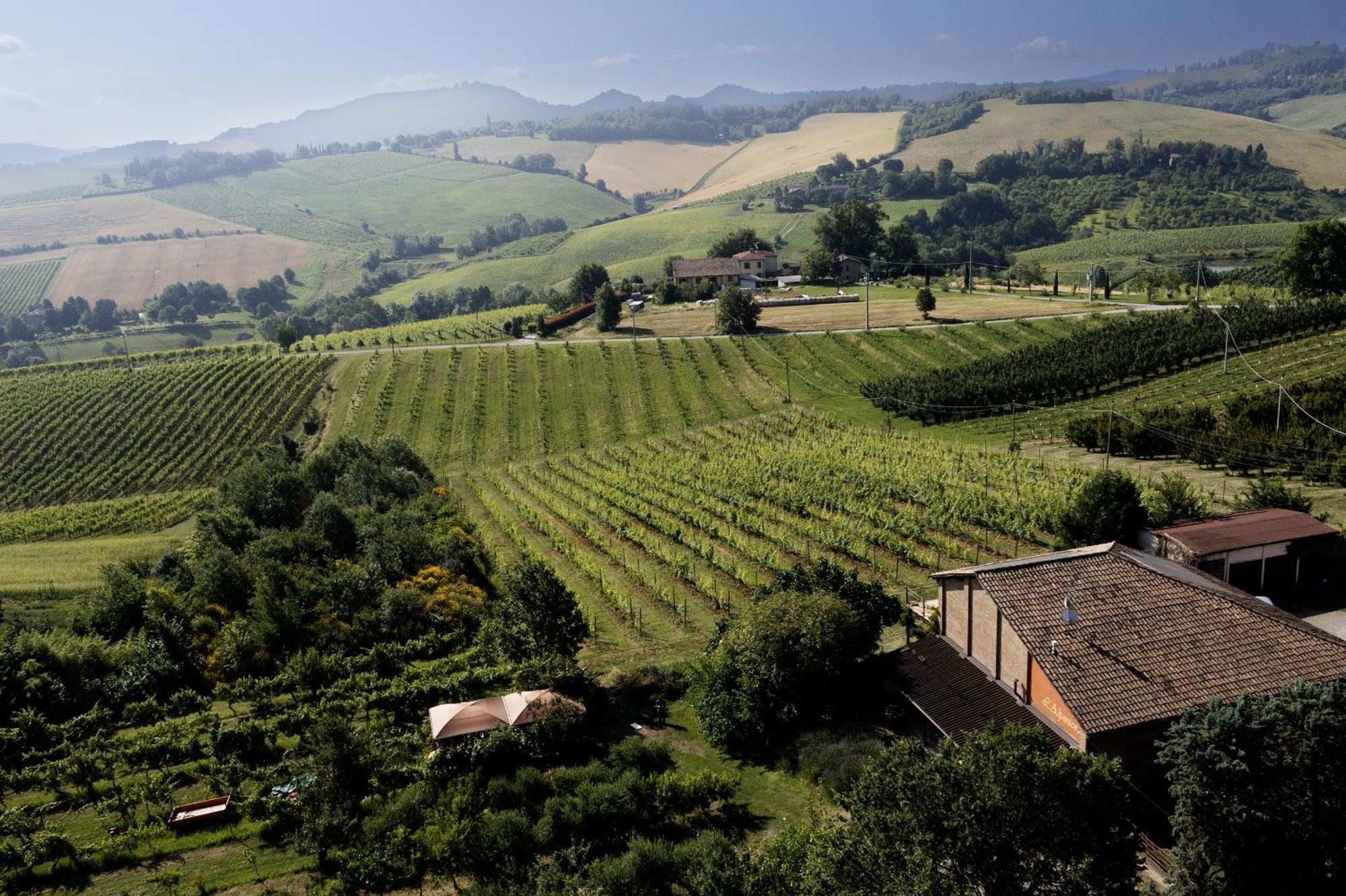 La Ca Dal Non Bioagriturismo - Alpenice Savignano sul Panaro 外观 照片