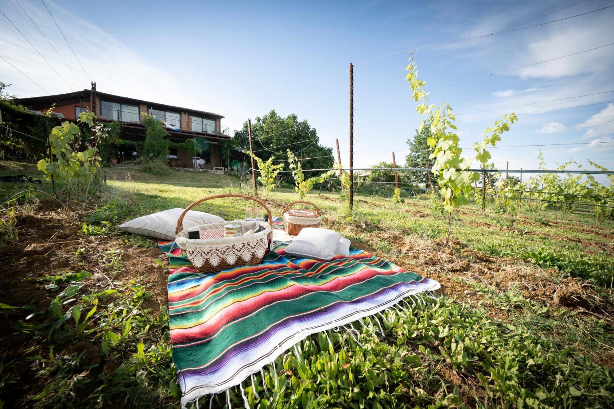 La Ca Dal Non Bioagriturismo - Alpenice Savignano sul Panaro 外观 照片