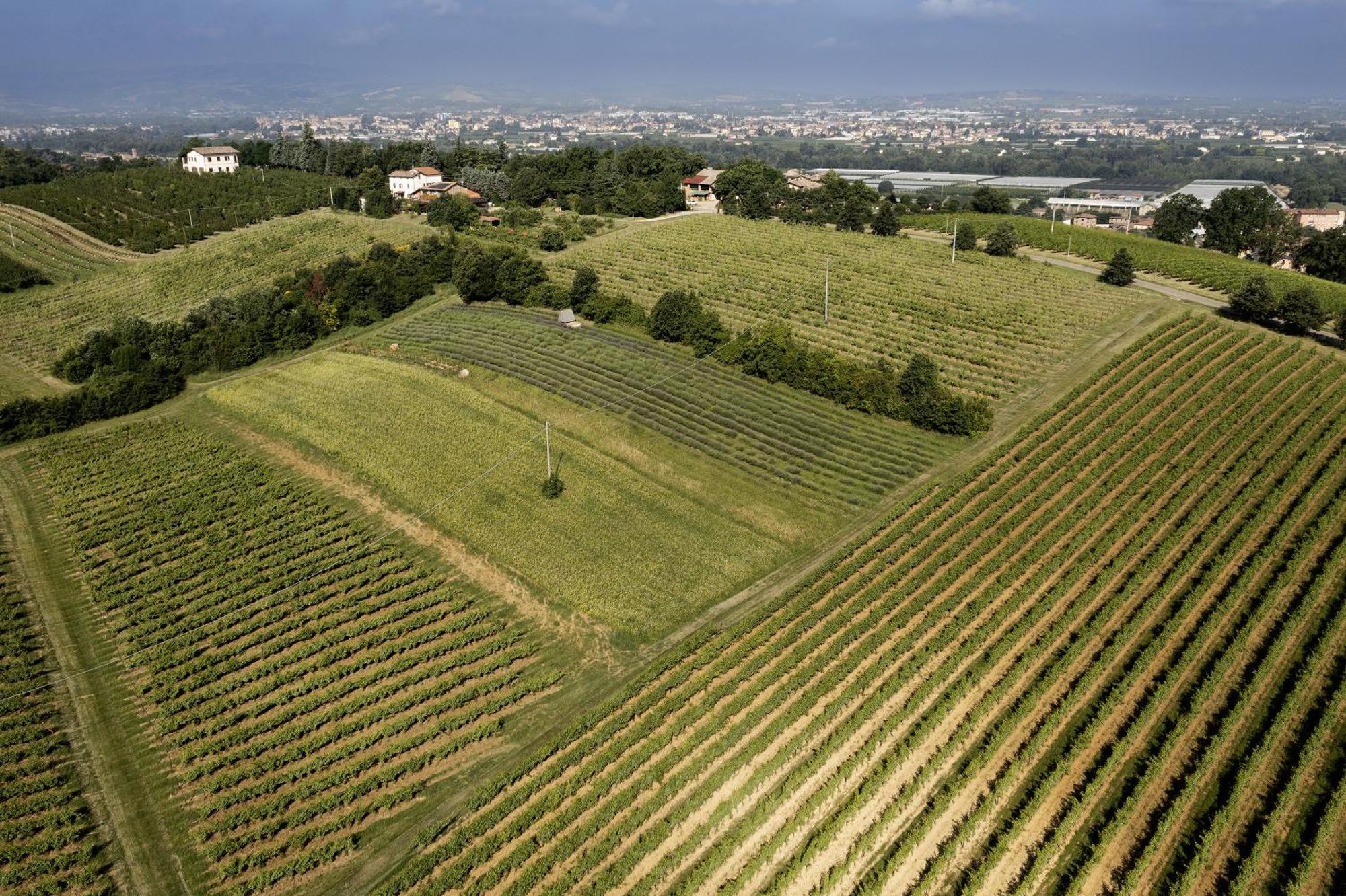 La Ca Dal Non Bioagriturismo - Alpenice Savignano sul Panaro 外观 照片